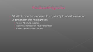 › Estudia la abertura superior, la cavidad y la abertura inferior.
› Se practican dos radiografías:
     Frente: Abertura superior
     Superior: Sacrocóccix y sus variedades
     Estudio del arco subpubiano
 