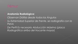  Anatomía Radiológica:
 Observan Diáfisis desde todos los Ángulos
 Su Extremidad Superior de Frente, se radiografía con la
  Pelvis
 De Perfil Es necesario Abducción Máxima (placa
  Radiográfica arriba del trocante mayor)
 