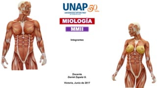 MIOLOGÍA
Integrantes
Docente
Daniel Zapata G.
Victoria, Junio de 2017
MMII
 