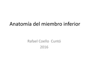 Anatomía del miembro inferior
Rafael Coello Cuntó
2016
 