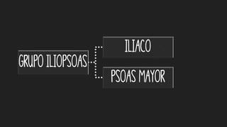 Grupo iliopsoas
iliaco
Psoas mayor
 