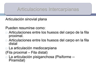 Articulación sinovial plana
Pueden resumirse como:
 Articulaciones entre los huesos del carpo de la fila
proximal.
 Articulaciones entre los huesos del carpo en la fila
distal
 La articulación mediocarpiana
(Fila proximal – Fila distal)
 La articulación pisiganchosa (Pisiforme --
Piramidal)
 