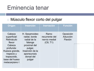 Eminencia tenar
 Músculo flexor corto del pulgar
Origen Inserción Inervación Función
Cabeza
superficial:
Retináculo
flexor
Cabeza
profunda:
Huesos grande,
trapecio y
trapezoide,
base del hueso
metacarpiano I
H. Sesamoideo
radial, borde
radial de la
falange
proximal del
pulgar,
Inserción de la
aponeurosis
dorsal del
pulgar
Ramo
recurrente del
nervio medial
(C8, T1)
Oposición
Aducción
Flexión
 