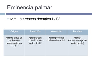 Eminencia palmar
 Mm. Interóseos dorsales I - IV
Origen Inserción Inervación Función
Ambos lados de
los huesos
metacarpianos
I – V
Aponeurosis
dorsal de los
dedos II - IV
Ramo profundo
del nervio cubital
Flexión
Abducción (eje del
dedo medio)
 