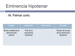 Eminencia hipotenar
 M. Palmar corto
Origen Inserción Inervación Función
Borde medial de la
aponeurosis
palmar
Piel de la
eminencia
hipotenar
Tensor de la piel
de la eminencia
hipotenar
 