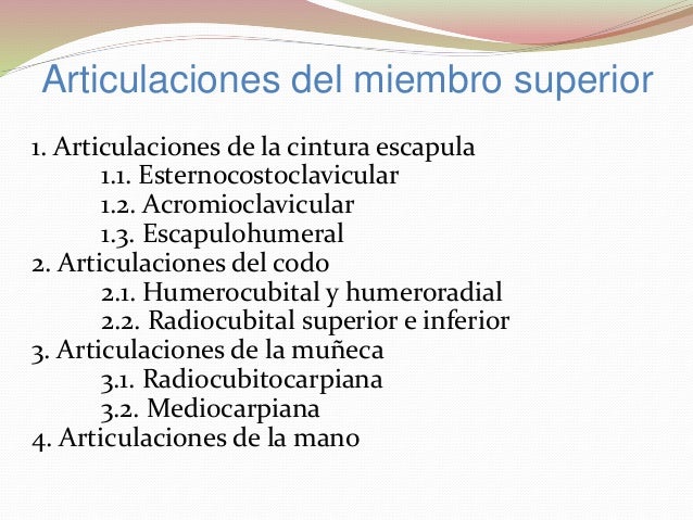 Los miembros gigantescos en pequeño pisyah