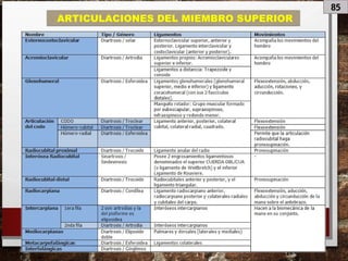 85
ARTICULACIONES DEL MIEMBRO SUPERIOR
 