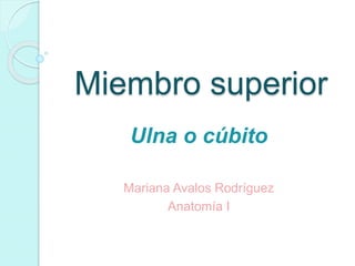 Miembro superior
Ulna o cúbito
Mariana Avalos Rodríguez
Anatomía I
 