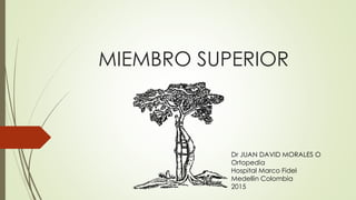 MIEMBRO SUPERIOR
Dr JUAN DAVID MORALES O
Ortopedia
Hospital Marco Fidel
Medellin Colombia
2015
 