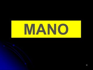 MANO
66
 