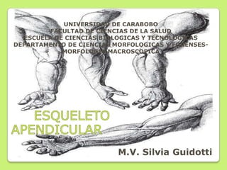 UNIVERSIDAD DE CARABOBO
        FACULTAD DE CIENCIAS DE LA SALUD
  ESCUELA DE CIENCIAS BIOLOGICAS Y TECNOLÓGICAS
DEPARTAMENTO DE CIENCIAS MORFOLOGICAS Y FORENSES-
            MORFOLOGIA MACROSCOPICA




                          M.V. Silvia Guidotti
 