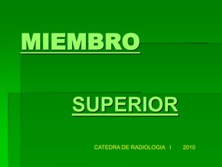 MIEMBRO
SUPERIOR
CATEDRA DE RADIOLOGIA I 2010
 