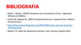• Keith L. Moore. (2010) Anatomía con orientación clínica. Lippincott
Williams & Wilkins.
• Liard R & Latarjet M. (2007) Anatomía Humana. Buenos Aires: Médica
Panamericana.
• http://fisio-ortesis.blogspot.com/2007/08/ortesis-para-las-lesiones-
del-plexo.html
• Netter F.H. Atlas de Anatomía Humana. 5ed. Elvesier España 2011.
 
