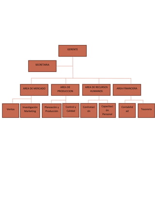 SECRETARIA
GERENTE
AREA DE RECURSOS
HUMANOS
AREA FINANCIERAAREA DE
PRODUCCION
AREA DE MERCADO
Investigación
Marketing
Ventas
Planeación y
Producción
Control y
Calidad
Contrataci
ón
Capacitaci
ón
Personal
Contabilid
ad
Tesorería
 