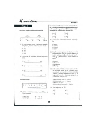 Mi enlace 4 año 2012