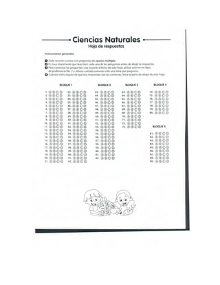 Mi enlace 4 año 2012