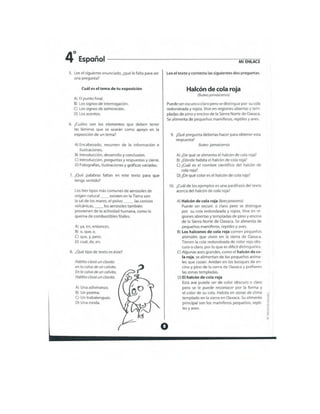 Mi enlace 4 año 2012