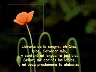 Líbrame de la sangre, oh Dios, Dios, Salvador mío, y cantará mi lengua tu justicia. Señor, me abrirás los labios, y mi boca proclamará tu alabanza. 