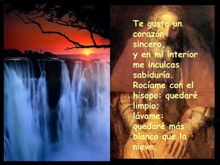 Te gusta un corazón sincero, y en mi interior me inculcas sabiduría. Rocíame con el hisopo: quedaré limpio; lávame: quedaré más blanco que la nieve. 