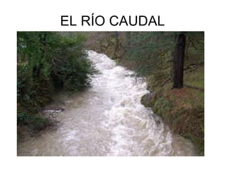 EL RÍO CAUDAL 