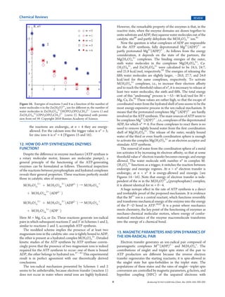 Chemical Reviews                                                                                                                                    REVIEW

                                                                              However, the remarkable property of the enzymes is that, in the
                                                                              reactive state, when the enzyme domains are drawn together to
                                                                              unite substrate and ADP, they squeeze water molecules out of the
                                                                              catalytic site60 and partly dehydrate the M(H2O)n2+ ion.61
                                                                                  Now the question is what complexes of ADP are responsible
                                                                              for the ATP synthesis, fully deprotonated Mg2+(ADP)3À or
                                                                              partly protonated Mg2+(ADP)2À. As follows from the energy
                                                                              consideration, it depends on the state of the partners, the
                                                                              Mg(H2O)n2+ complexes. The binding energies of the outer,
                                                                              sixth water molecules in the complexes Mg(H2O)62+, Ca-
                                                                              (H2O)62+, and Zn(H2O)62+ were calculated to be 24.5, 24.7,
                                                                              and 21.8 kcal/mol, respectively.62 The energies of releasing the
                                                                              ﬁfth water molecules are slightly larger, À28.0, 27.7, and 24.0
                                                                              kcal/mol for the same complexes, respectively. To activate
                                                                              M(H2O)n2+ complexes, i.e., to increase their electron aﬃnity
                                                                              and to reach the threshold values of n*, it is necessary to release at
                                                                              least two water molecules, the sixth and ﬁfth. The total energy
                                                                              cost of this “undressing” process is ∼53À46 kcal/mol for M =
                                                                              Mg, Ca, Zn.62 These values are rather high, so that the escape of
Figure 16. Energies of reactions 3 and 4 as a function of the number of       coordinated water from the hydrated shell of ions seems to be the
water molecules n in the Zn(H2O)2+n ion for diﬀerent m, the number of         most energy-expensive process in the ion-radical mechanism. It
water molecules in Zn(H2O)m2+(HOPO2OPO3CH3)2À (curve 1) and                   means that the protonated complexes Mg2+(ADP)2À are hardly
Zn(H2O)m2+(OPO2OPO3CH3)3À (curve 2). Reprinted with permis-                   involved in the ATP synthesis. The main sources of ATP seem to
sion from ref 59. Copyright 2010 Russian Academy of Science.                  be complexes Mg2+(ADP)3À, i.e., complexes of the deprotonated
                                                                              ADP, for which n* . 6. For these complexes to react there is no
       the reactions are endoergic, at n < 4 they are energy-                 need to remove tightly bound water from the ﬁrst coordination
       allowed. For the calcium ions the trigger value is n* = 3;             shell of Mg(H2O)62+. The release of the outer, weakly bound
       for zinc ions it is n* = 4 (Figures 15 and 16).                        water of the third or even fourth coordination sphere is enough
                                                                              to activate the complex Mg(H2O)n2+ as an electron acceptor and
12. HOW DO ATP-SYNTHESIZING ENZYMES                                           stimulate ATP synthesis.
FUNCTION?                                                                         The removal of water from the coordination sphere of a metal
   Despite the diﬀerence in enzyme mechanics (ATP synthase is                 ion activates it by increasing its electron aﬃnity, so that at some
a rotary molecular motor, kinases are molecular pumps), a                     threshold value n* electron transfer becomes exoergic and energy
general principle of the functioning of the ATP-generating                    allowed. The water molecule with number n* in complex M-
enzymes can be formulated as follows. Theoretical inspection                  (H2O)n2+ functions as a trigger; it switches the reaction between
of the reactions between pyrophosphate and hydrated complexes                 endoergic and exoergic regimes. At n > n* electron transfer is
reveals their general properties. These reactions perfectly model             endoergic; at n < n* it is energy-allowed and exoergic (see
those in catalytic sites of enzymes:                                          Figures 14À16). Note that energy of electron transfer is inde-
                                                                              pendent of the m in the M(H2O)2+m(pyrophosphate) complex;
  MðH2 OÞn 2þ þ MðH2 OÞm 2þ ðADP3À Þ f MðH2 OÞn þ                             it is almost identical for m = 0À4.
                                                                                  A huge isotope eﬀect in the rate of ATP synthesis is a direct
     þ MðH2 OÞm 2þ ðADP2À Þ                                                   and irrefutable proof of the proposed mechanism. It is evidence
                                                                              that the M2+ ion is a central reactant, which functions reversibly
  MðH2 OÞn 2þ þ MðH2 OÞm 2þ ðADP2À Þ f MðH2 OÞn þ                             and transforms mechanical energy of the enzyme into the energy
                                                                              of the PÀO bond in ATP.58,61 It is a point where mechanics
     þ MðH2 OÞm 2þ ðADPÀ Þ                                                    meets chemistry, the key point of the functioning of enzymes as
                                                                              mechano-chemical molecular motors, where energy of confor-
Here M = Mg, Ca, or Zn. These reactions generate ion-radical                  mational mechanics of the enzyme macromolecule transforms
pairs in which subsequent reactions 20 and 30 in Schemes 1 and 2,             into the energy of a chemical bond.
similar to reactions 2 and 3, accomplish ATP synthesis.
   The modiﬁed scheme implies the presence of at least two
magnesium ions in the catalytic site: one is tightly bound to ADP,            13. MAGNETIC PARAMETERS AND SPIN DYNAMICS OF
the other is present as a hydrated complex M(H2O)n2+. Detailed                THE ION-RADICAL PAIR
kinetic studies of the ATP synthesis by ATP synthase convin-                     Electron transfer generates an ion-radical pair composed of
cingly prove that the presence of two magnesium ions is indeed                paramagnetic complexes M2+(ADP)2À and M(H2O)n+. The
required for the ATP synthesis to occur: one of them is bound                 contributions of singlet and triplet spin states of the pair to
ADP, the other belongs to hydrated ion.37À43 This experimental                ATP production are diﬀerent because the reverse electron
result is in perfect agreement with our theoretically derived                 transfer regenerates the starting reactants; it is spin-allowed in
conclusions.                                                                  the singlet state but spin-forbidden in the triplet state. The
   The ion-radical mechanism presented by Schemes 1 and 2                     populations of these states and the rates of singletÀtriplet spin
seems to be unbelievable, because electron transfer (reaction 1)              conversion are controlled by magnetic parameters, g-factors, and
does not occur in water where metal ions are highly hydrated.                 hyperﬁne coupling (HFC) of the unpaired electrons with
                                                                          K                          dx.doi.org/10.1021/cr200142a |Chem. Rev. XXXX, XXX, 000–000
 