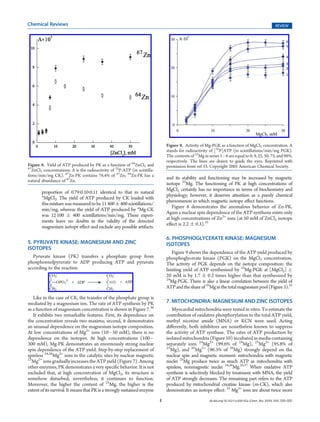 Chemical Reviews                                                                                                                                        REVIEW




                                                                                Figure 9. Activity of Mg-PGK as a function of MgCl2 concentration. A
                                                                                stands for radioactivity of [32P]ATP (in scintillations/min/mg PGK).
                                                                                The contents of 25Mg in series 1À6 are equal to 0, 9, 25, 50, 75, and 98%,
                                                                                respectively. The lines are drawn to guide the eyes. Reprinted with
Figure 8. Yield of ATP produced by PK as a function of 64ZnCl2 and              permission from ref 33. Copyright 2005 American Chemical Society.
67
   ZnCl2 concentrations. A is the radioactivity of 32P-ATP (in scintilla-
tions/min/mg CK). 67Zn-PK contains 78.4% of 67Zn; 64Zn-PK has a
                                                                                and its stability and functioning may be increased by magnetic
natural abundance of 67Zn.
                                                                                isotope 25Mg. The functioning of PK at high concentrations of
                                                                                MgCl2 certainly has no importance in terms of biochemistry and
        proportion of 0.79:0.10:0.11 identical to that in natural
                                                                                physiology; however, it deserves attention as a purely chemical
        *MgCl2. The yield of ATP produced by CK loaded with
                                                                                phenomenon in which magnetic isotope eﬀect functions.
        this mixture was measured to be 11 400 ( 400 scintillations/
                                                                                   Figure 8 demonstrates the anomalous behavior of Zn-PK.
        min/mg, whereas the yield of ATP produced by *Mg-CK
                                                                                Again a nuclear spin dependence of the ATP synthesis exists only
        was 12 100 ( 400 scintillations/min/mg. These experi-
                                                                                at high concentrations of Zn2+ ions (at 50 mM of ZnCl2 isotope
        ments leave no doubts in the validity of the detected
                                                                                eﬀect is 2.2 ( 0.3).35
        magnesium isotope eﬀect and exclude any possible artifacts.

                                                                                6. PHOSPHOGLYCERATE KINASE: MAGNESIUM
5. PYRUVATE KINASE: MAGNESIUM AND ZINC                                          ISOTOPES
ISOTOPES
                                                                                   Figure 9 shows the dependence of the ATP yield produced by
   Pyruvate kinase (PK) transfers a phosphate group from                        phosphoglycerate kinase (PGK) on the MgCl2 concentration.
phosphoenolpyruvate to ADP producing ATP and pyruvate                           The activity of PGK depends on the isotope composition: the
according to the reaction                                                       limiting yield of ATP synthesized by 25Mg-PGK at [MgCl2] g
                                                                                20 mM is by 1.7 ( 0.2 times higher than that synthesized by
                                                                                24
                                                                                  Mg-PGK. There is also a linear correlation between the yield of
                                                                                ATP and the share of 25Mg in the total magnesium pool (Figure 3).33

   Like in the case of CK, the transfer of the phosphate group is
mediated by a magnesium ion. The rate of ATP synthesis by PK                    7. MITOCHONDRIA: MAGNESIUM AND ZINC ISOTOPES
as a function of magnesium concentration is shown in Figure 7.36                   Myocardial mitochondria were tested in vitro. To estimate the
   It exhibits two remarkable features. First, its dependence on                contribution of oxidative phosphorylation to the total ATP yield,
the concentration reveals two maxima; second, it demonstrates                   methyl nicotine amide (MNA) or KCN were used. Acting
an unusual dependence on the magnesium isotope composition.                     diﬀerently, both inhibitors are nonetheless known to suppress
At low concentrations of Mg2+ ions (10À50 mM), there is no                      the activity of ATP synthase. The rates of ATP production by
dependence on the isotopes. At high concentrations (100À                        isolated mitochondria (Figure 10) incubated in media containing
300 mM), Mg-PK demonstrates an enormously strong nuclear                        separately ions 24Mg2+ (99.6% of 24Mg), 25Mg2+ (95.8% of
                                                                                25
spin dependence of the ATP yield. Step-by-step replacement of                      Mg), and 26Mg2+ (96.3% of 26Mg) strongly depend on the
spinless 24,26Mg2+ ions in the catalytic sites by nuclear magnetic              nuclear spin and magnetic moment: mitochondria with magnetic
25
   Mg2+ ions gradually increases the ATP yield (Figure 7). Among                nuclei 25Mg produce twice as much ATP as mitochondria with
other enzymes, PK demonstrates a very speciﬁc behavior. It is not               spinless, nonmagnetic nuclei 24,26Mg.25,37 When oxidative ATP
excluded that, at high concentration of MgCl2, its structure is                 synthesis is selectively blocked by treatment with MNA, the yield
somehow disturbed; nevertheless, it continues to function.                      of ATP strongly decreases. The remaining part refers to the ATP
Moreover, the higher the content of 25Mg, the higher is the                     produced by mitochondrial creatine kinase (m-CK), which also
extent of its survival. It means that PK is a strongly sustained enzyme         demonstrates an isotope eﬀect: 25 Mg2+ ions are about twice more
                                                                            E                            dx.doi.org/10.1021/cr200142a |Chem. Rev. XXXX, XXX, 000–000
 