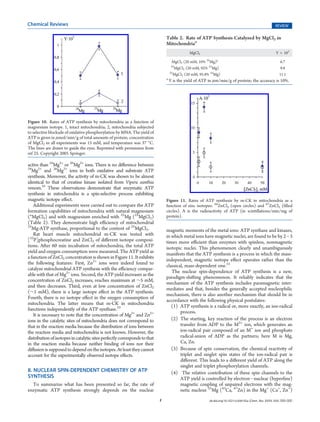 Chemical Reviews                                                                                                                                         REVIEW

                                                                                Table 2. Rate of ATP Synthesis Catalyzed by MgCl2 in
                                                                                Mitochondriaa
                                                                                               MgCl2                                                     Y Â 103

                                                                                     MgCl2 (20 mM, 10% 25Mg)a                                               6.7
                                                                                     25
                                                                                       MgCl2 (20 mM, 92% 25Mg)                                              9.8
                                                                                    25
                                                                                       MgCl2 (20 mM, 95.8% 25Mg)                                           11.1
                                                                                a
                                                                                    Y is the yield of ATP in μm/min/g of protein; the accuracy is 10%.




Figure 10. Rates of ATP synthesis by mitochondria as a function of
magnesium isotope. 1, intact mitochondria; 2, mitochondria subjected
to selective blockade of oxidative phosphorylation by MNA. The yield of
ATP is given in μmol/min/g of total amounts of protein; concentration
of MgCl2 in all experiments was 15 mM, and temperature was 37 °C.
The lines are drawn to guide the eyes. Reprinted with permission from
ref 25. Copyright 2005 Springer.

active than 24Mg2+ or 26Mg2+ ions. There is no diﬀerence between
24
  Mg2+ and 26Mg2+ ions in both oxidative and substrate ATP
synthesis. Moreover, the activity of m-CK was shown to be almost
identical to that of creatine kinase isolated from Vipera xanthia
venom.25 These observations demonstrate that enzymatic ATP
synthesis in mitochondria is a spin-selective process exhibiting
magnetic isotope eﬀect.                                                         Figure 11. Rates of ATP synthesis by m-CK in mitochondria as a
   Additional experiments were carried out to compare the ATP                   function of zinc isotopes: 64ZnCl2 (open circles) and 67ZnCl2 (ﬁlled
formation capabilities of mitochondria with natural magnesium                   circles). A is the radioactivity of ATP (in scintillations/min/mg of
(*MgCl2) and with magnesium enriched with 25Mg (25MgCl2)                        protein).
(Table 2). They demonstrate high eﬃciency of mitochondrial
25
   Mg-ATP synthase, proportional to the content of 25MgCl2.                     magnetic moments of the metal ions: ATP synthase and kinases,
   Rat heart muscle mitochondrial m-CK was tested with                          in which metal ions have magnetic nuclei, are found to be by 2À3
[32P]phosphocreatine and ZnCl2 of diﬀerent isotope composi-                     times more eﬃcient than enzymes with spinless, nonmagnetic
tions. After 60 min incubation of mitochondria, the total ATP                   isotopic nuclei. This phenomenon clearly and unambiguously
yield and oxygen consumption were measured. The ATP yield as                    manifests that the ATP synthesis is a process in which the mass-
a function of ZnCl2 concentration is shown in Figure 11. It exhibits
                                                                                independent, magnetic isotope eﬀect operates rather than the
the following features: First, Zn2+ ions were indeed found to
                                                                                classical, mass-dependent one.31
catalyze mitochondrial ATP synthesis with the eﬃciency compar-
                                                                                   The nuclear spin-dependence of ATP synthesis is a new,
able with that of Mg2+ ions. Second, the ATP yield increases as the
                                                                                paradigm-shifting phenomenon. It reliably indicates that the
concentration of ZnCl2 increases, reaches maximum at ∼5 mM,
                                                                                mechanism of the ATP synthesis includes paramagnetic inter-
and then decreases. Third, even at low concentration of ZnCl2
                                                                                mediates and that, besides the generally accepted nucleophilic
(∼1 mM), there is a large isotope eﬀect in the ATP synthesis.
                                                                                mechanism, there is also another mechanism that should be in
Fourth, there is no isotope eﬀect in the oxygen consumption of
                                                                                accordance with the following physical postulates:
mitochondria. The latter means that m-CK in mitochondria
                                                                                   (1) ATP synthesis is a radical or, more exactly, an ion-radical
functions independently of the ATP synthase.33
                                                                                        process.
   It is necessary to note that the concentration of Mg2+ and Zn2+
ions in the catalytic sites of mitochondria does not correspond to                 (2) The starting, key reaction of the process is an electron
that in the reaction media because the distribution of ions between                     transfer from ADP to the M2+ ion, which generates an
the reaction media and mitochondria is not known. However, the                          ion-radical pair composed of an M+ ion and phosphate
distribution of isotopes in catalytic sites perfectly corresponds to that               radical-anion of ADP as the partners; here M is Mg,
in the reaction media because neither binding of ions nor their                         Ca, Zn.
diﬀusion is supposed to depend on the isotopes. At least they cannot               (3) Because of spin conservation, the chemical reactivity of
account for the experimentally observed isotope eﬀects.                                 triplet and singlet spin states of the ion-radical pair is
                                                                                        diﬀerent. This leads to a diﬀerent yield of ATP along the
                                                                                        singlet and triplet phosphorylation channels.
8. NUCLEAR SPIN-DEPENDENT CHEMISTRY OF ATP                                         (4) The relative contribution of these spin channels to the
SYNTHESIS                                                                               ATP yield is controlled by electronÀnuclear (hyperﬁne)
   To summarize what has been presented so far, the rate of                             magnetic coupling of unpaired electrons with the mag-
enzymatic ATP synthesis strongly depends on the nuclear                                 netic nucleus 25Mg (43Ca, 67Zn) in the Mg+ (Ca+, Zn+)
                                                                            F                             dx.doi.org/10.1021/cr200142a |Chem. Rev. XXXX, XXX, 000–000
 