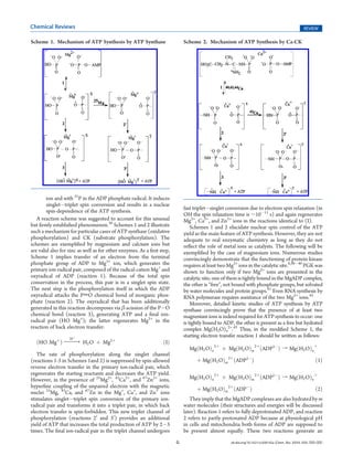 Chemical Reviews                                                                                                                                  REVIEW

Scheme 1. Mechanism of ATP Synthesis by ATP Synthase                        Scheme 2. Mechanism of ATP Synthesis by Ca-CK




        ion and with 31P in the ADP phosphate radical. It induces
        singletÀtriplet spin conversion and results in a nuclear
                                                                            fast tripletÀsinglet conversion due to electron spin relaxation (in
        spin-dependence of the ATP synthesis.
                                                                            OH the spin relaxation time is ∼10À11 s) and again regenerates
   A reaction scheme was suggested to account for this unusual              Mg2+, Ca2+, and Zn2+ ions in the reactions identical to (I).
but ﬁrmly established phenomenon.36 Schemes 1 and 2 illustrate                  Schemes 1 and 2 elucidate nuclear spin control of the ATP
such a mechanism for particular cases of ATP synthase (oxidative            yield as the main feature of ATP synthesis. However, they are not
phosphorylation) and CK (substrate phosphorylation). The                    adequate to real enzymatic chemistry as long as they do not
schemes are exempliﬁed by magnesium and calcium ions but                    reﬂect the role of metal ions as catalysts. The following will be
are valid also for zinc as well as for other enzymes. As a ﬁrst step,       exempliﬁed by the case of magnesium ions. Numerous studies
Scheme 1 implies transfer of an electron from the terminal                  convincingly demonstrate that the functioning of protein kinase
phosphate group of ADP to Mg2+ ion, which generates the                     requires at least two Mg2+ ions in the catalytic site.8,38À40 PGK was
primary ion-radical pair, composed of the radical-cation Mg+ and            shown to function only if two Mg2+ ions are presented in the
oxyradical of ADP (reaction 1). Because of the total spin                   catalytic site; one of them is tightly bound in the MgADP complex,
conservation in the process, this pair is in a singlet spin state.          the other is “free”, not bound with phosphate groups, but solvated
The next step is the phosphorylation itself in which the ADP                by water molecules and protein groups.41 Even RNA synthesis by
oxyradical attacks the PdO chemical bond of inorganic phos-                 RNA polymerase requires assistance of the two Mg2+ ions.42
phate (reaction 2). The oxyradical that has been additionally                   Moreover, detailed kinetic studies of ATP synthesis by ATP
generated in this reaction decomposes via β-scission of the PÀO             synthase convincingly prove that the presence of at least two
chemical bond (reaction 3), generating ATP and a ﬁnal ion-                  magnesium ions is indeed required for ATP synthesis to occur: one
radical pair (HO Mg+); the latter regenerates Mg2+ in the                   is tightly bound to ADP, the other is present as a free but hydrated
reaction of back electron transfer:                                         complex Mg(H2O)n2+.43 Thus, in the modiﬁed Scheme 1, the
                   Hþ
                                                                            starting electron transfer reaction 1 should be written as follows:
  ðHO Mgþ Þ s H2 O þ Mg2þ
             f                                                   ðIÞ
                                                                              MgðH2 OÞn 2þ þ MgðH2 OÞm 2þ ðADP3À Þ f MgðH2 OÞn þ
   The rate of phosphorylation along the singlet channel
(reactions 1-3 in Schemes 1and 2) is suppressed by spin-allowed                   þ MgðH2 OÞm 2þ ðADP2À Þ                                                ð1Þ
reverse electron transfer in the primary ion-radical pair, which
regenerates the starting reactants and decreases the ATP yield.
However, in the presence of 25Mg2+, 43Ca2+, and 67Zn2+ ions,                  MgðH2 OÞn 2þ þ MgðH2 OÞm 2þ ðADP2À Þ f MgðH2 OÞn þ
hyperﬁne coupling of the unpaired electron with the magnetic
                                                                                  þ MgðH2 OÞm 2þ ðADPÀ Þ                                                 ð2Þ
nuclei 25Mg, 43Ca, and 67Zn in the Mg+, Ca+, and Zn+ ions
stimulates singletÀtriplet spin conversion of the primary ion-                 They imply that the MgADP complexes are also hydrated by m
radical pair and transforms it into a triplet pair, in which back           water molecules (their structures and energies will be discussed
electron transfer is spin-forbidden. This new triplet channel of            later). Reaction 1 refers to fully deprotonated ADP, and reaction
phosphorylation (reactions 20 and 30 ) provides an additional               2 refers to partly protonated ADP because at physiological pH
yield of ATP that increases the total production of ATP by 2À3              in cells and mitochondria both forms of ADP are supposed to
times. The ﬁnal ion-radical pair in the triplet channel undergoes           be present almost equally. These two reactions generate an
                                                                        G                          dx.doi.org/10.1021/cr200142a |Chem. Rev. XXXX, XXX, 000–000
 