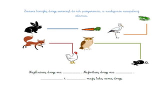 Mierzenie długości