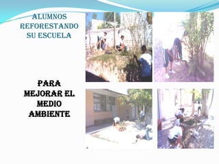 ALUMNOS REFORESTANDO SU ESCUELAPARA  MEJORAR EL MEDIO AMBIENTE
