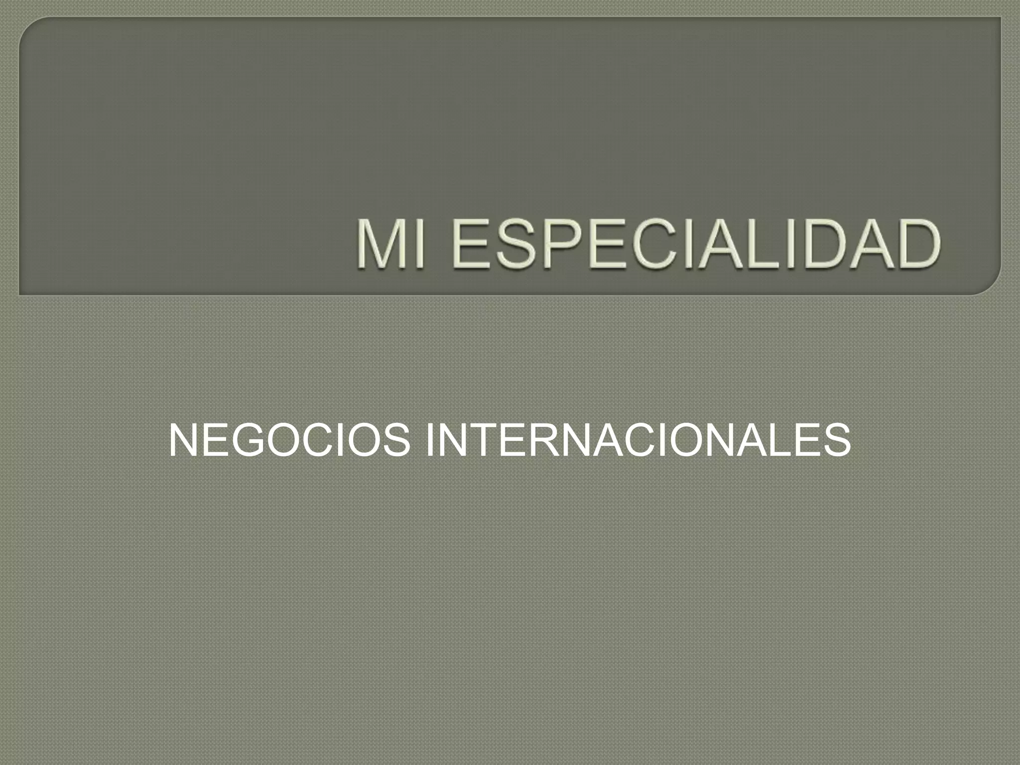 NEGOCIOS INTERNACIONALES