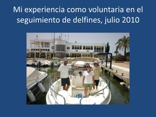 Mi experiencia como voluntaria en el seguimiento de delfines, julio 2010 