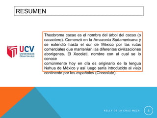 RESUMEN

Theobroma cacao es el nombre del árbol del cacao (o
cacaotero). Comenzó en la Amazonia Sudamericana y
se extendió hasta el sur de México por las rutas
comerciales que mantenían las diferentes civilizaciones
aborígenes. El Xocolatl, nombre con el cual se lo
conoce
comúnmente hoy en día es originario de la lengua
Nahua de México y así luego sería introducido al viejo
continente por los españoles (Chocolate).

KELLY DE LA CRUZ MEZA

4

 