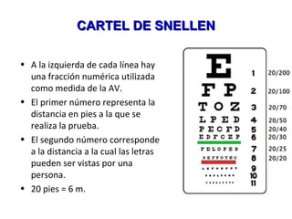 CARTEL DE SNELLENCARTEL DE SNELLEN
• A la izquierda de cada línea hay
una fracción numérica utilizada
como medida de la AV.
• El primer número representa la
distancia en pies a la que se
realiza la prueba.
• El segundo número corresponde
a la distancia a la cual las letras
pueden ser vistas por una
persona.
• 20 pies = 6 m.
 