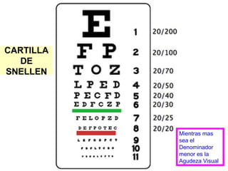 CARTILLA
DE
SNELLEN
Mientras mas
sea el
Denominador
menor es la
Agudeza Visual
 