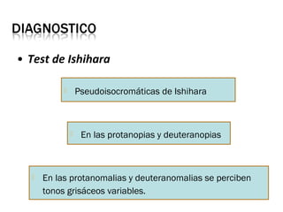 • Test de Ishihara
 Pseudoisocromáticas de Ishihara
 En las protanopias y deuteranopias
 En las protanomalias y deuteranomalias se perciben
tonos grisáceos variables.
 