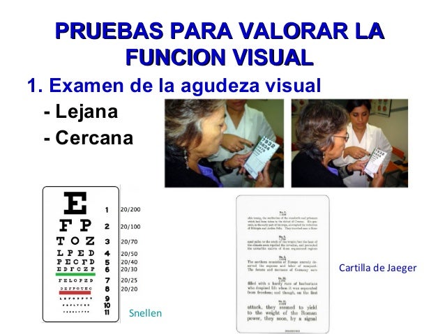 Oftalmologia Fisiologia De La Vision Isabel Bolivar