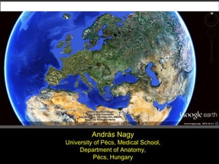 András Nagy
University of Pécs, Medical School,
     Department of Anatomy,
          Pécs, Hungary
 