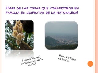 UNAS DE LAS COSAS QUE COMPARTIMOS EN
FAMILIA ES DISFRUTAR DE LA NATURALEZA!
 