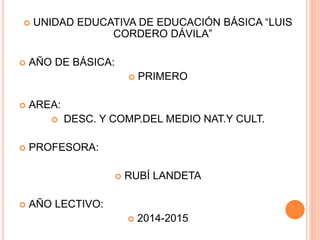  UNIDAD EDUCATIVA DE EDUCACIÓN BÁSICA “LUIS 
CORDERO DÁVILA” 
 AÑO DE BÁSICA: 
 PRIMERO 
 AREA: 
 DESC. Y COMP.DEL MEDIO NAT.Y CULT. 
 PROFESORA: 
 RUBÍ LANDETA 
 AÑO LECTIVO: 
 2014-2015 
 