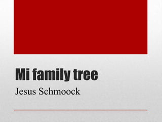 Mi family tree
Jesus Schmoock
 