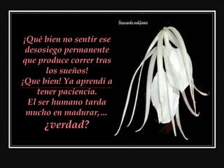 ¡Qué bien no sentir ese
desosiego permanente
que produce correr tras
los sueños!
¡Que bien! Ya aprendí a
tener paciencia.
El ser humano tarda
mucho en madurar,…
¿verdad?
 