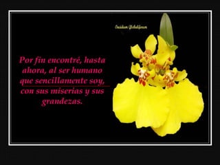 Por fin encontré, hasta
ahora, al ser humano
que sencillamente soy,
con sus miserias y sus
grandezas.
 