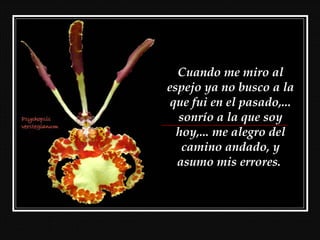 Cuando me miro al
espejo ya no busco a la
que fui en el pasado,...
sonrío a la que soy
hoy,... me alegro del
camino andado, y
asumo mis errores.
 