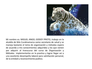 Mi nombre es: MIGUEL ANGEL GODOY PRIETO, trabajo en la alcaldía de Nilo Cundinamarca como secretario de salud y se maneja bastante el tema de organización y métodos espero de acuerdo a mis conocimientos adquiridos y los que vienen por adquirir al transcurso del curso de implementarlos en la practica y lograr llegar así a una excelente desempeño laboral para satisfacción personal, de la entidad y reconocimiento publico.  