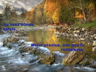 No veas donde caiste, Mejor precisa, con que te resbalaste. 