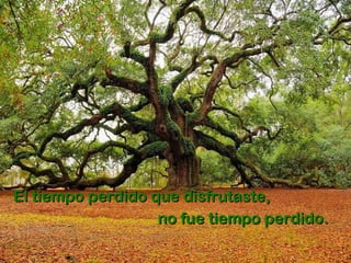 El tiempo perdido que disfrutaste, no fue tiempo perdido. 