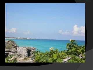 Panorama NaturalRegla de tercios