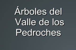 Árboles delÁrboles del
Valle de losValle de los
PedrochesPedroches
 