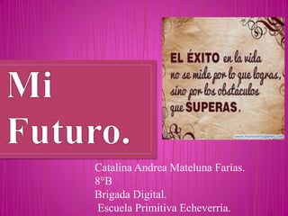 Catalina Andrea Mateluna Farías.
8°B
Brigada Digital.
Escuela Primitiva Echeverría.
 